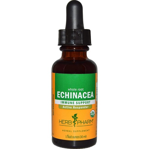 Herb Pharm Echinacea Extract 1 Fz