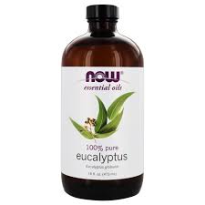 Now Eucalyptus Oil, 16 Oz